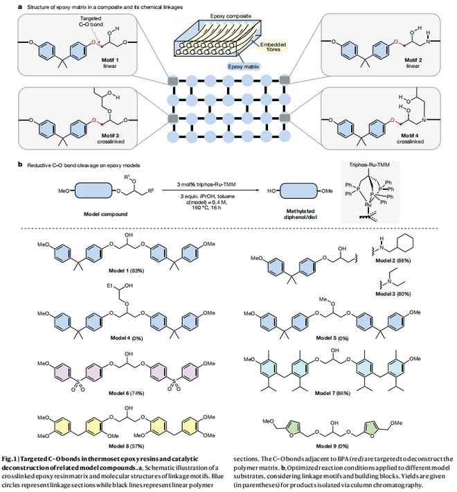 BOB半岛·(中国)官方网站Nature：环氧树脂及其复合材料的催化C-O键断裂(图2)