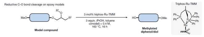 BOB半岛·(中国)官方网站Nature：环氧树脂及其复合材料的催化C-O键断裂(图1)