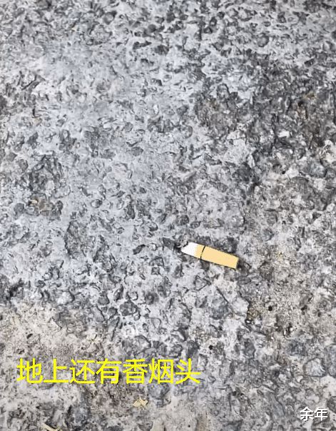 BOB半岛·(中国)官方网站广州1车主雨刷基座被烟头烫伤维修需23432元已报警(图2)