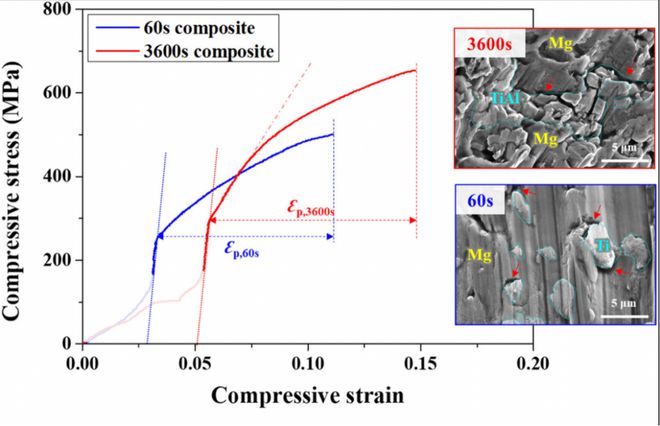 BOB半岛镁合金顶刊：双连续金属-金属间化合物复合材料制备新工艺！(图5)